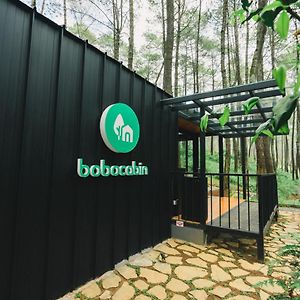 Bobocabin Cikole, Bandung